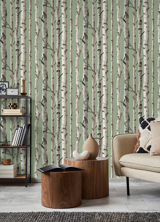 chester-sage-birch-trees-wallpaper-york-wallcoverings-fd43291 - York Wallcoverings Wallpaper