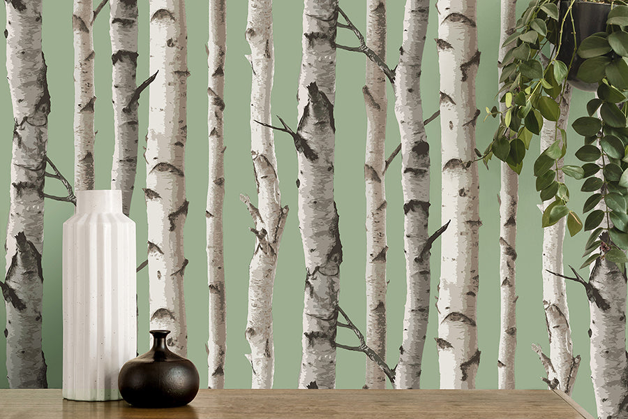 chester-sage-birch-trees-wallpaper-york-wallcoverings-fd43291 - York Wallcoverings Wallpaper