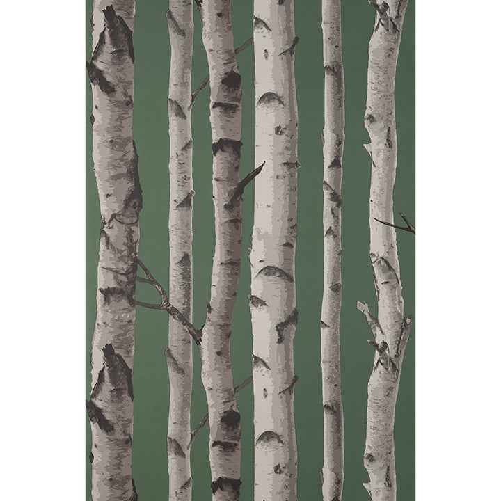 Chester Dark Green Birch Trees Wallpaper - York Wallcoverings - FD43292