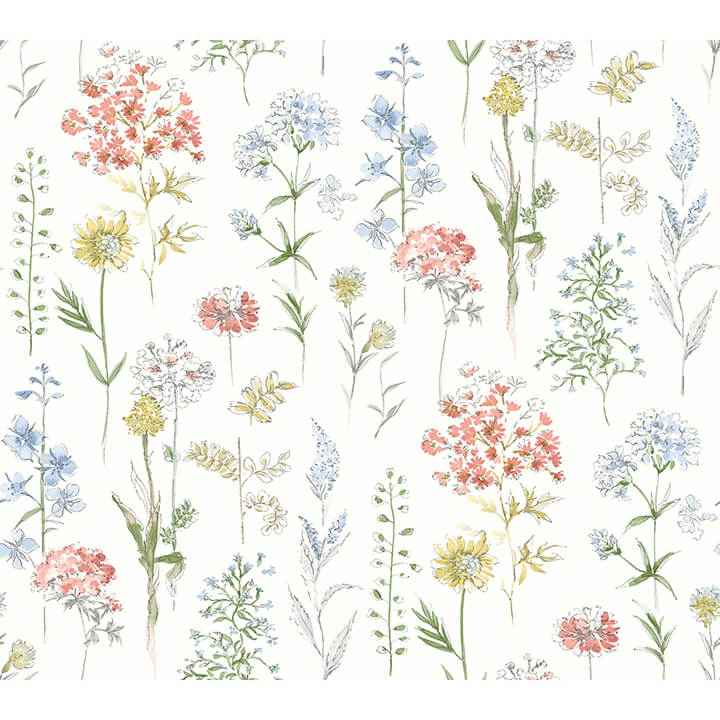 Bergamot Multicolor Wildflower Wallpaper - York Wallcoverings - 4134-72500 - York Wallcoverings Wallpaper