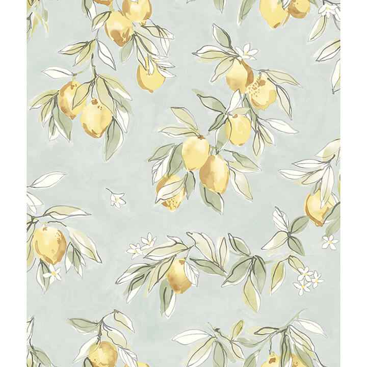 Lemonade Aqua Citrus Wallpaper - York Wallcoverings - 4134-72508 - York Wallcoverings Wallpaper
