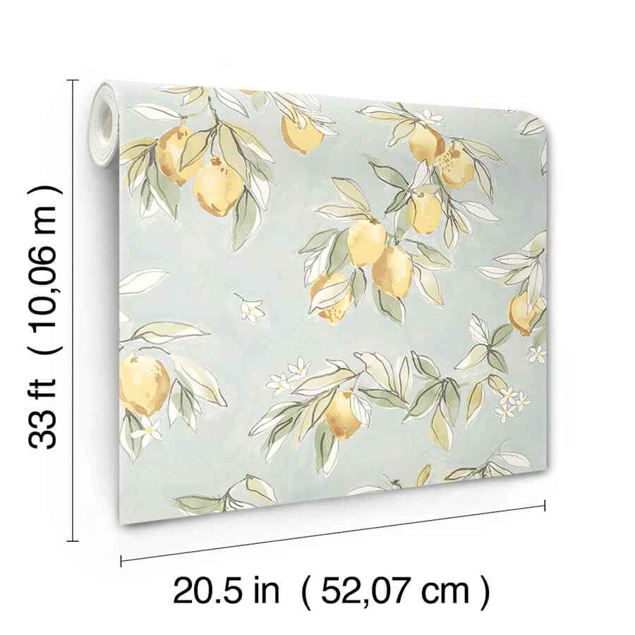 Lemonade Aqua Citrus Wallpaper - York Wallcoverings - 4134-72508 - York Wallcoverings Wallpaper