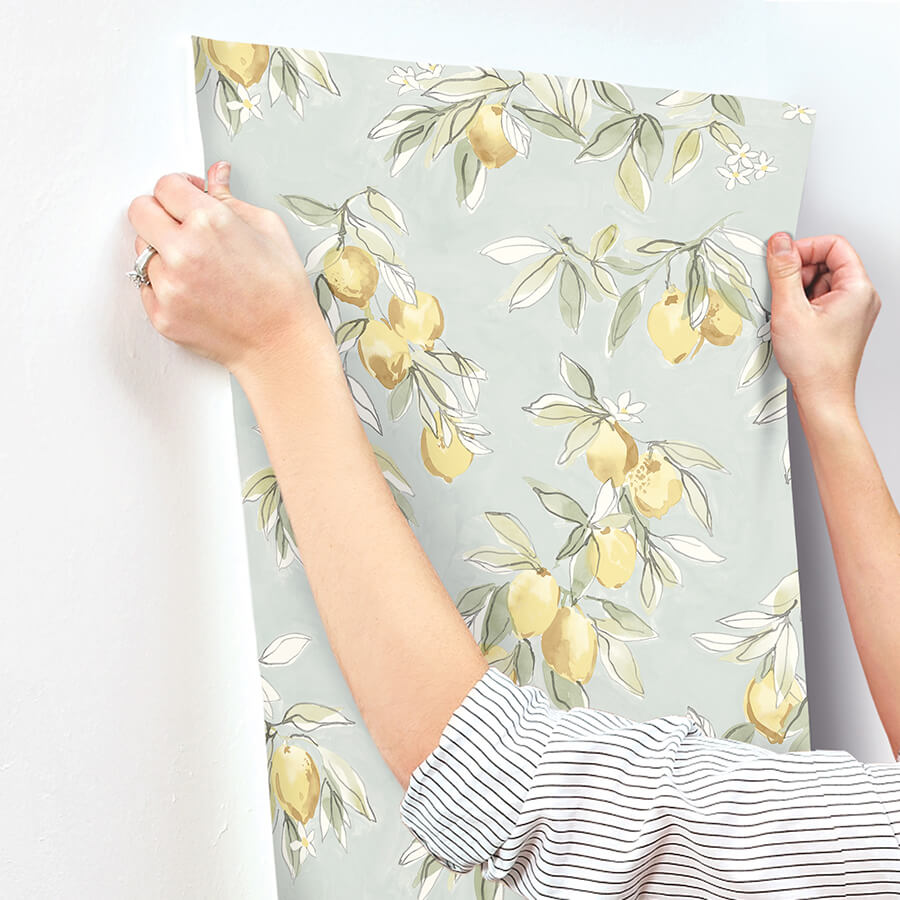 lemonade-aqua-citrus-wallpaper-york-wallcoverings-4134-72508 - York Wallcoverings Wallpaper