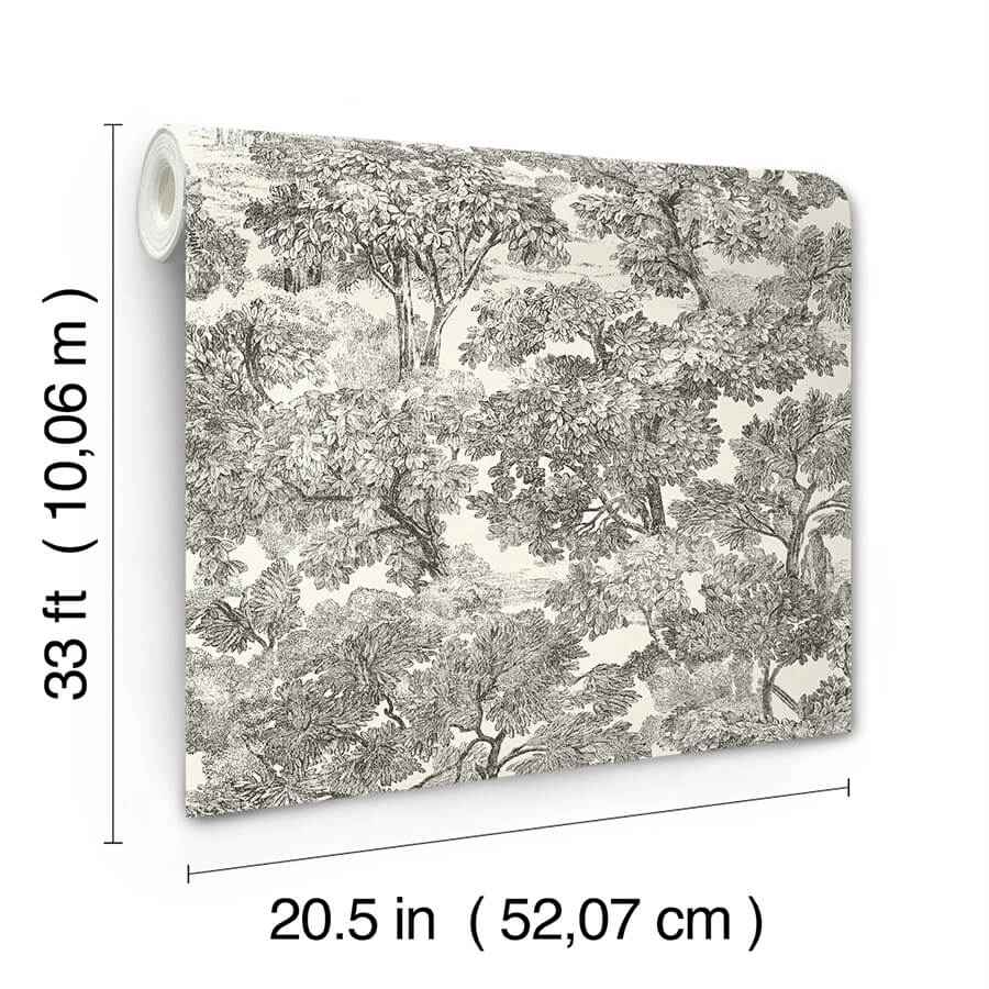 Spinney Black Toile Wallpaper - York Wallcoverings - 4134-72558 - York Wallcoverings Wallpaper
