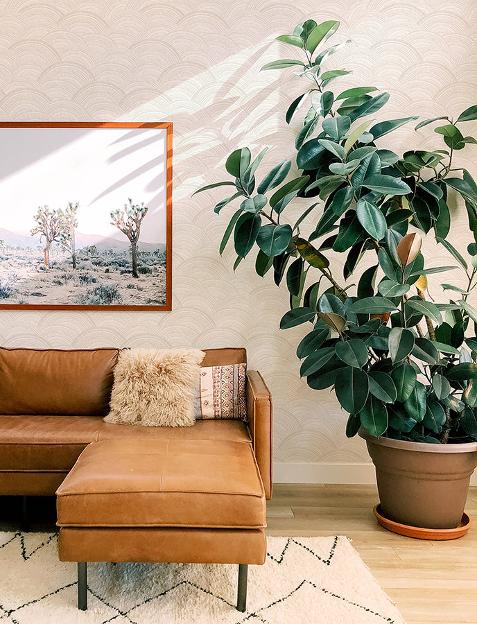 encircle-dove-geometric-wallpaper-york-wallcoverings-4146-27201