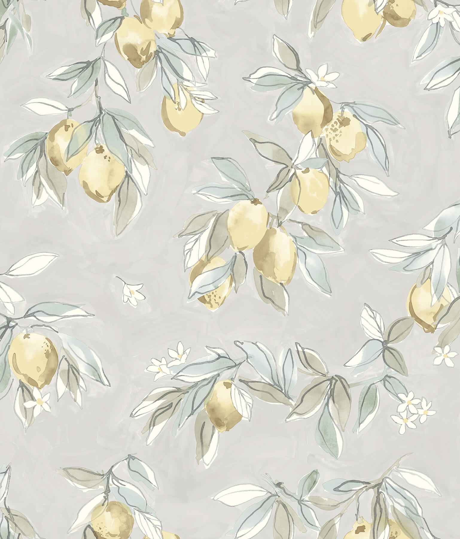 Lemonade Charcoal Citrus Wallpaper - York Wallcoverings - 4134-72509