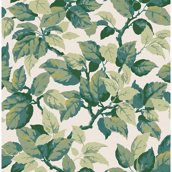 canopy-green-leaf-wallpaper-york-wallcoverings-4164-m1804 - York Wallpaper Wallpaper