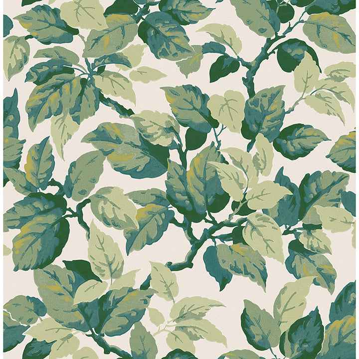 Canopy Green Leaf Wallpaper - York Wallcoverings - 4164-M1804 - York Wallcoverings Wallpaper