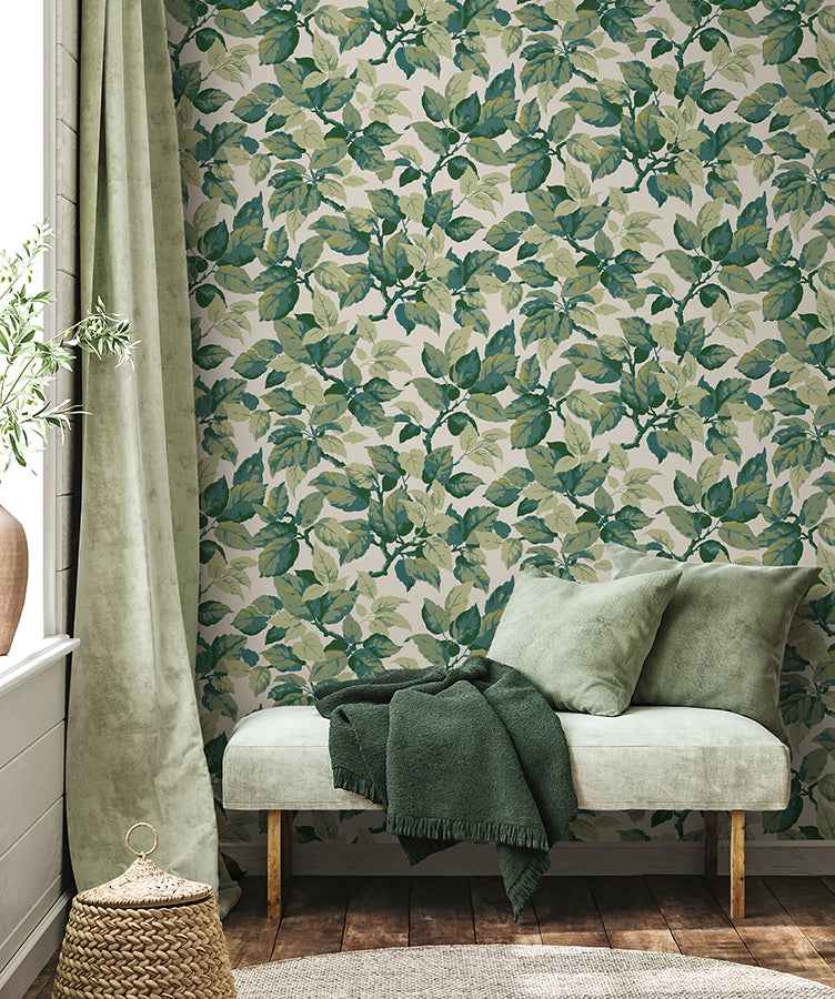 Canopy Green Leaf Wallpaper - York Wallcoverings - 4164-M1804 - York Wallcoverings Wallpaper