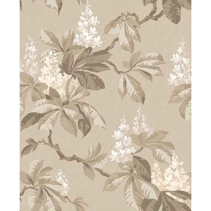 Chestnut Beige Floral Wallpaper - York Wallcoverings - 4164-M1820 - York Wallcoverings Wallpaper