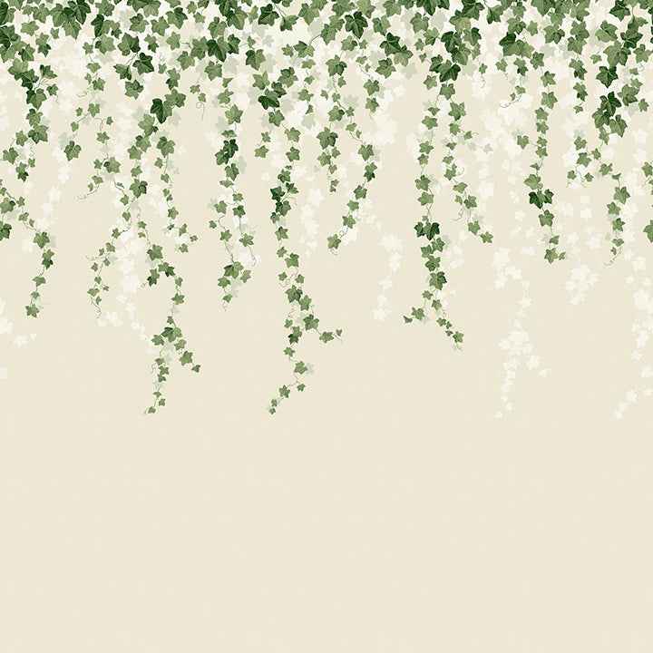 Trailing Ivy Green Wall Mural - York Wallcoverings - 4164-50942 - York Wallcoverings Wallpaper