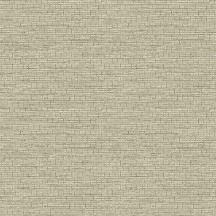 Plaited Grass Sage Wallpaper - York Wallcoverings - 4142-72653