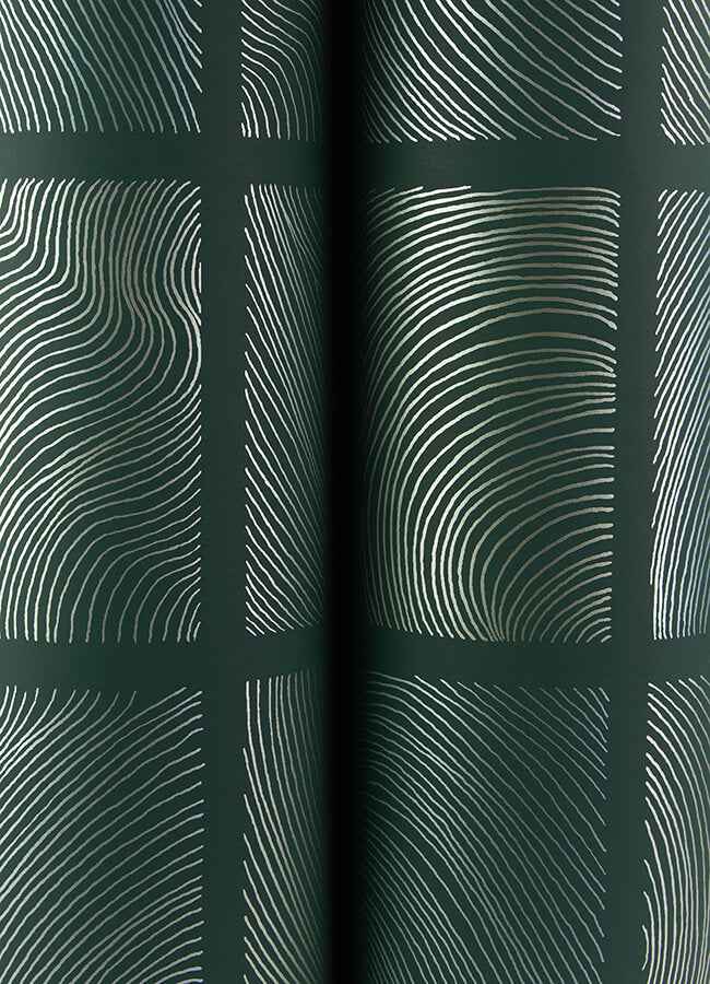 Bronson Evergreen Topography Wallpaper - York Wallcoverings - 4155-72800 - York Wallcoverings Wallpaper