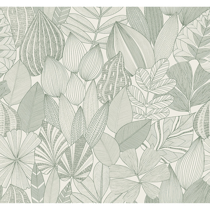 mathias-green-botanical-wallpaper-york-wallcoverings-4155-72811 - York Wallcoverings Papel pintado