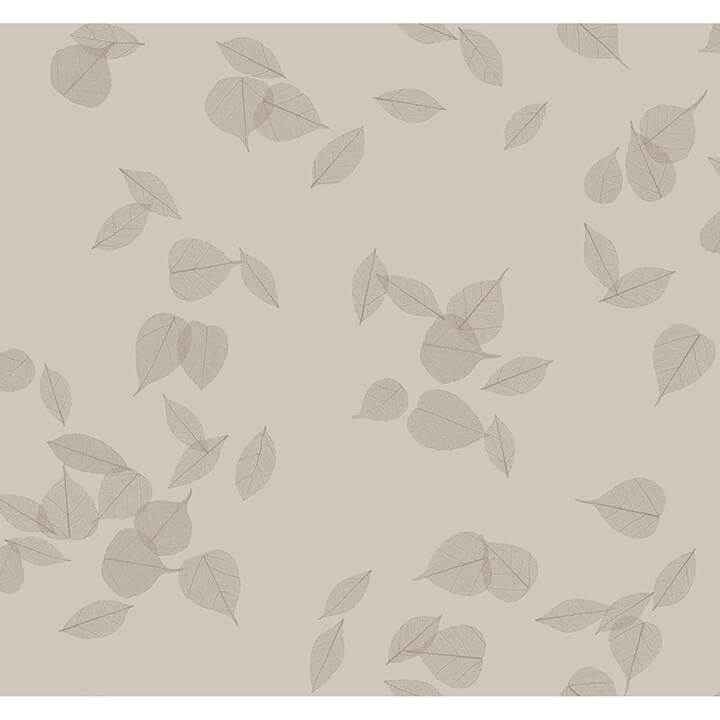 Myles Sterling Leaves Wallpaper - York Wallcoverings - 4174-4649 - York Wallcoverings Wallpaper