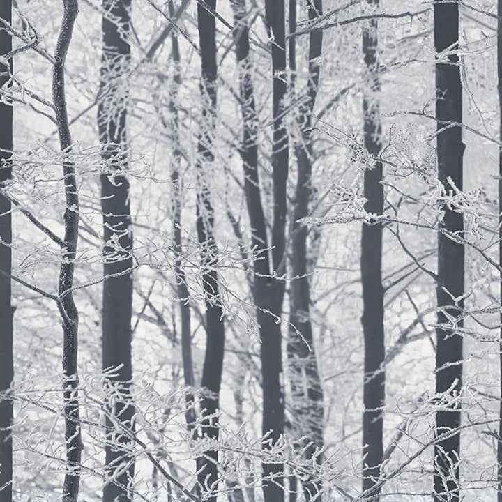 Frosted Silver Winter Grove Wallpaper - York Wallcoverings - AH670200 - York Wallcoverings Wallpaper