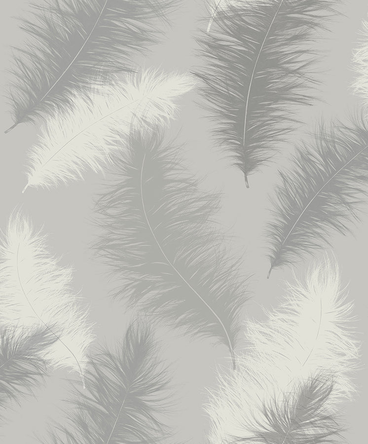sussurro-grey-feathers-wallpaper-york-wallcoverings-ah901705 - York Wallcoverings Wallpaper