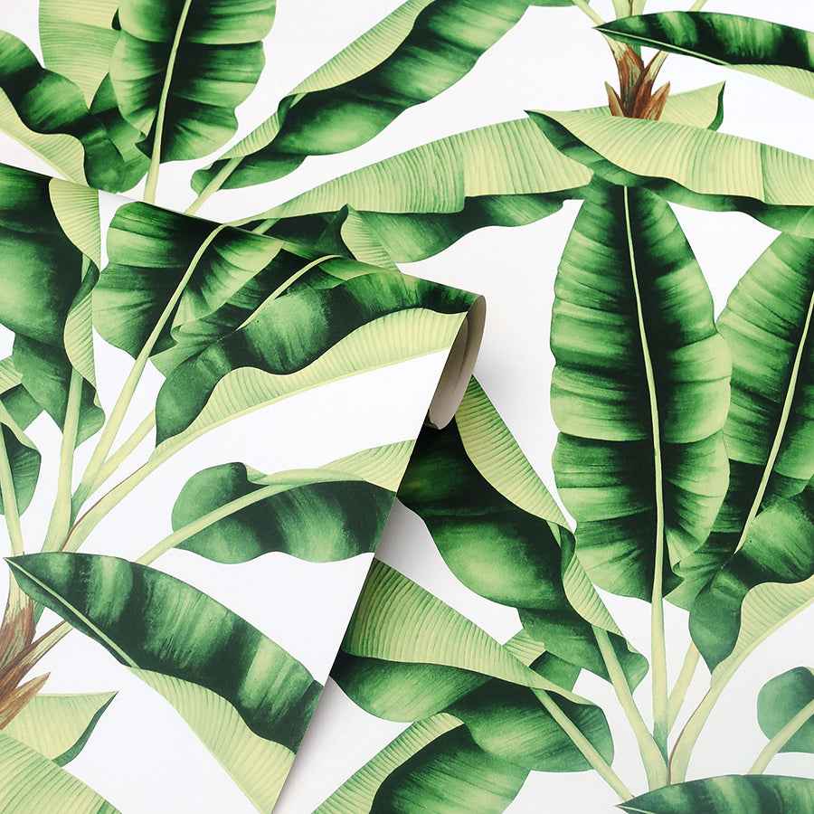Musa Green Palm Tree Wallpaper - York Wallcoverings - AH909604 - York Wallcoverings Wallpaper
