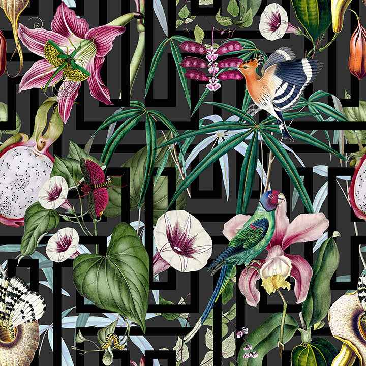 Lucretia Multicolor Tropical Wallpaper - York Wallcoverings - AH922805 - York Wallcoverings Wallpaper