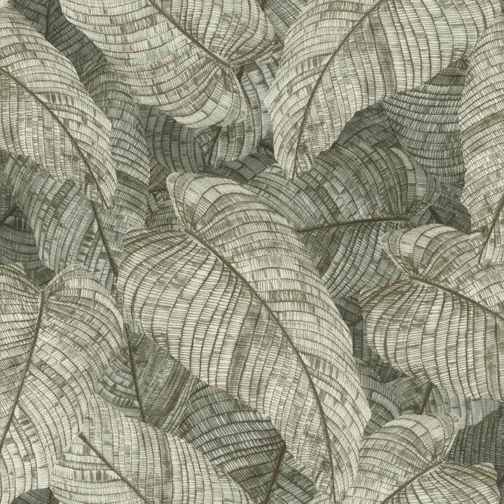 Galner Moss Leaves Wallpaper - York Wallcoverings - RH720549 - York Wallcoverings Wallpaper