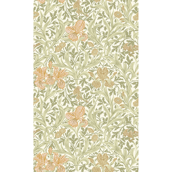 iris-light-green-wild-gardens-wallpaper-york-wallcoverings-4171-82049