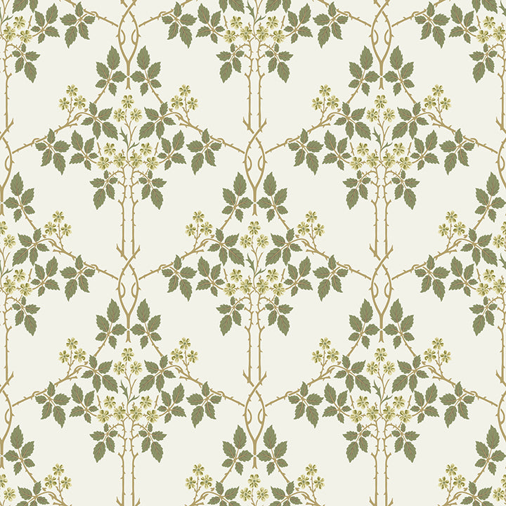 blackberry-chartreuse-vine-trellis-wallpaper-york-wallcoverings-4171-82053