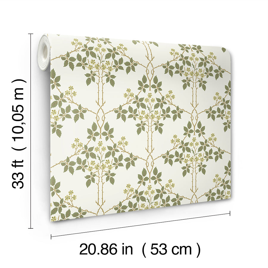 blackberry-chartreuse-vine-trellis-wallpaper-york-wallcoverings-4171-82053