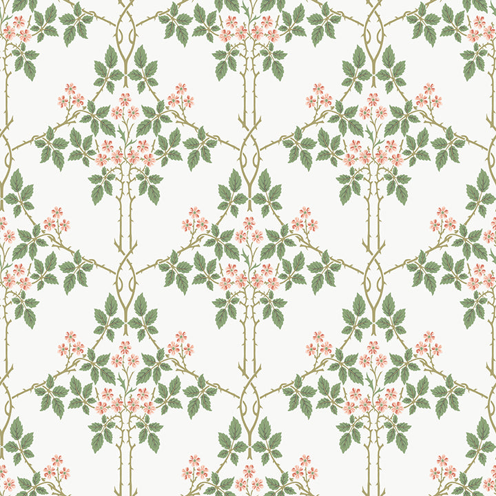 blackberry-pink-vine-trellis-wallpaper-york-wallcoverings-4171-82054