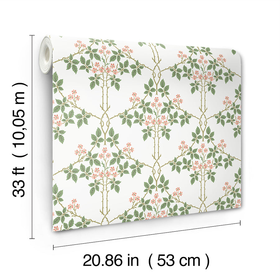 blackberry-pink-vine-trellis-wallpaper-york-wallcoverings-4171-82054