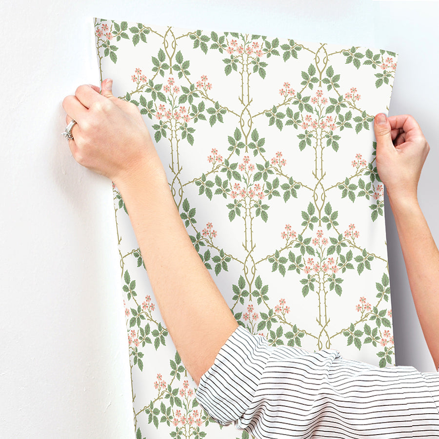blackberry-pink-vine-trellis-wallpaper-york-wallcoverings-4171-82054