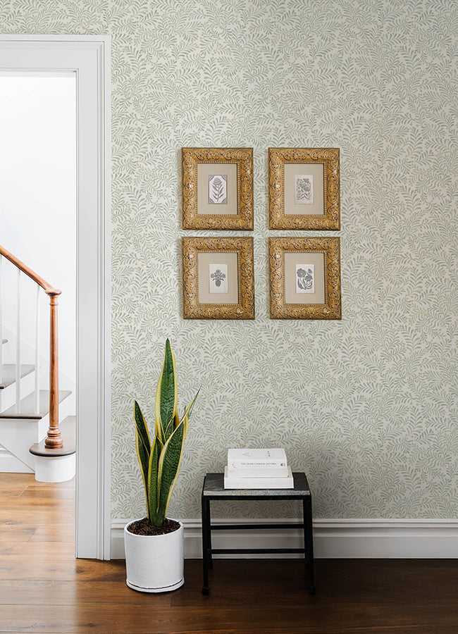 chrysantha-sage-berry-branches-wallpaper-york-wallcoverings-4148-27444