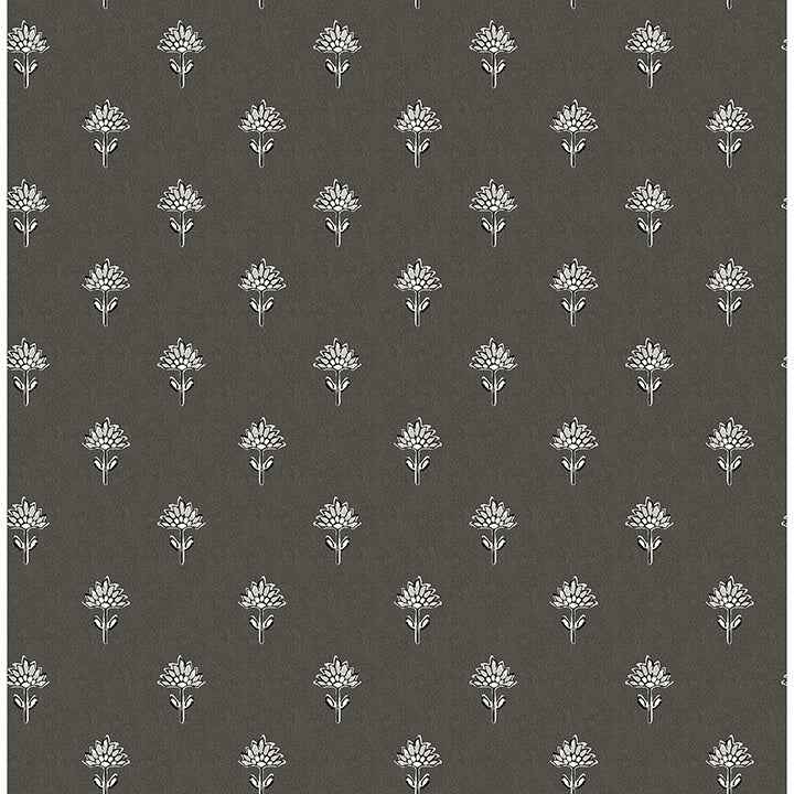 Surdiva Black Floral Fan Wallpaper - York Wallcoverings - 4148-27462 - York Wallcoverings Wallpaper