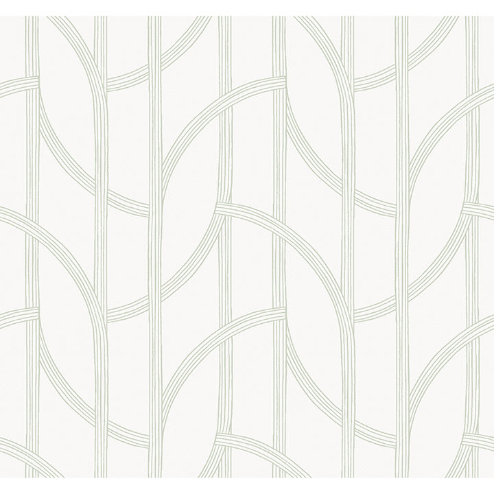 salvo-light-green-curved-contours-wallpaper-york-wallcoverings-4172-82009