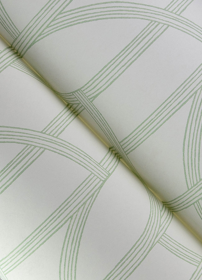 salvo-light-green-curved-contours-wallpaper-york-wallcoverings-4172-82009