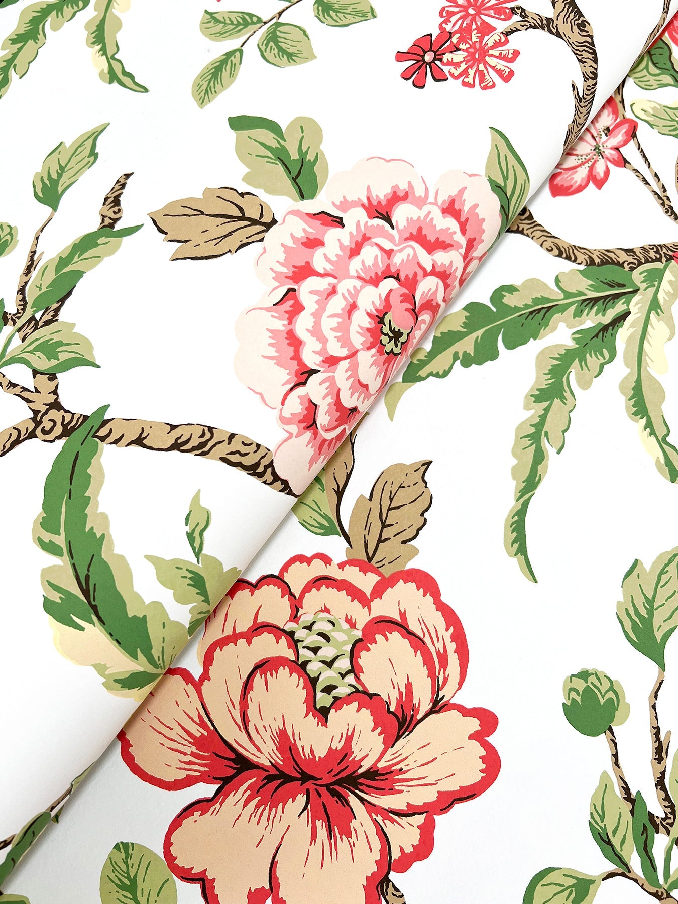 courtyard-botanical-wallpaper-rose-york-wallcoverings-mx9651