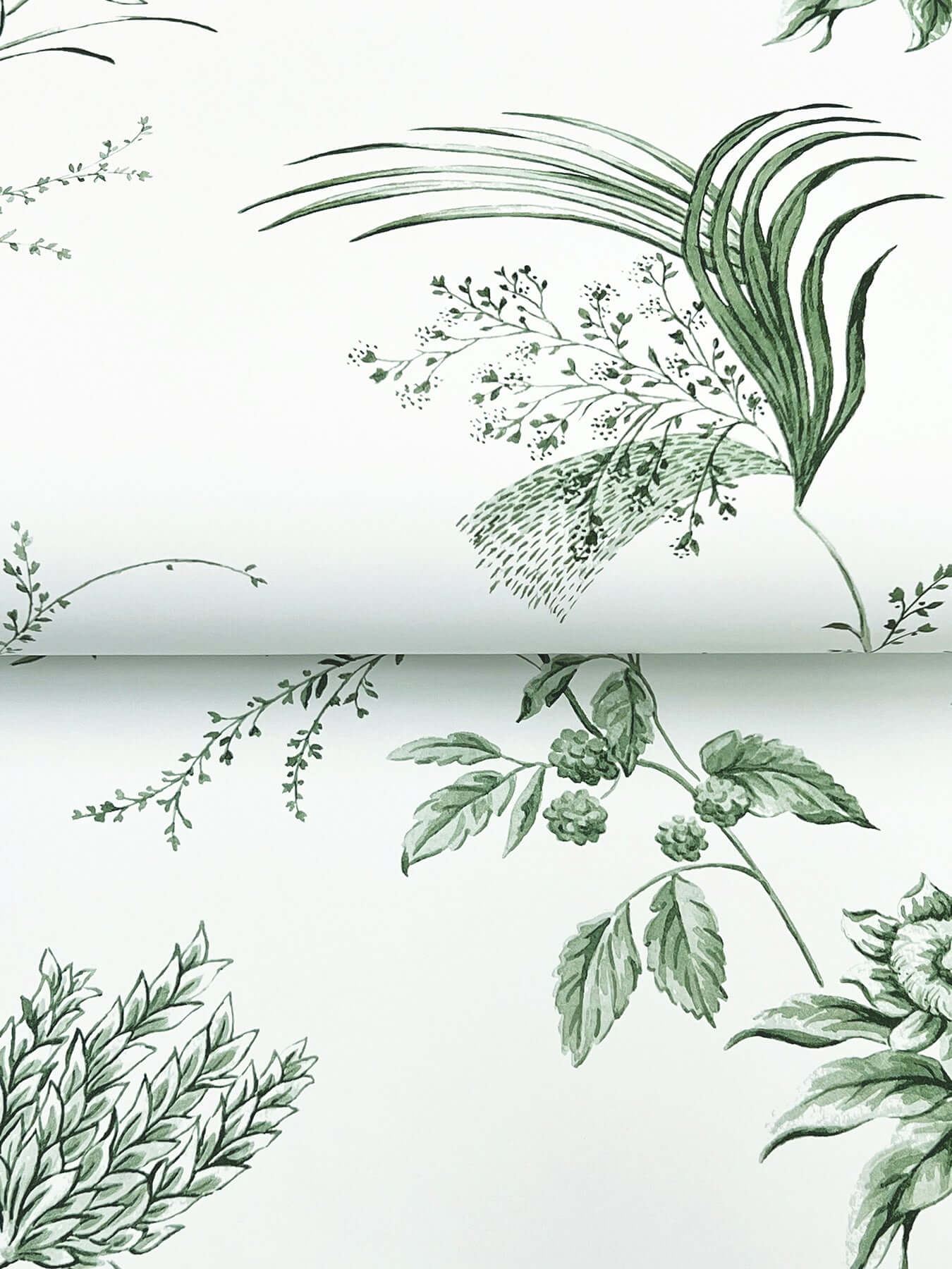 floral-lace-green-wallpaper-york-wallcoverings-mx9680 - York Wallpaper Wallpaper