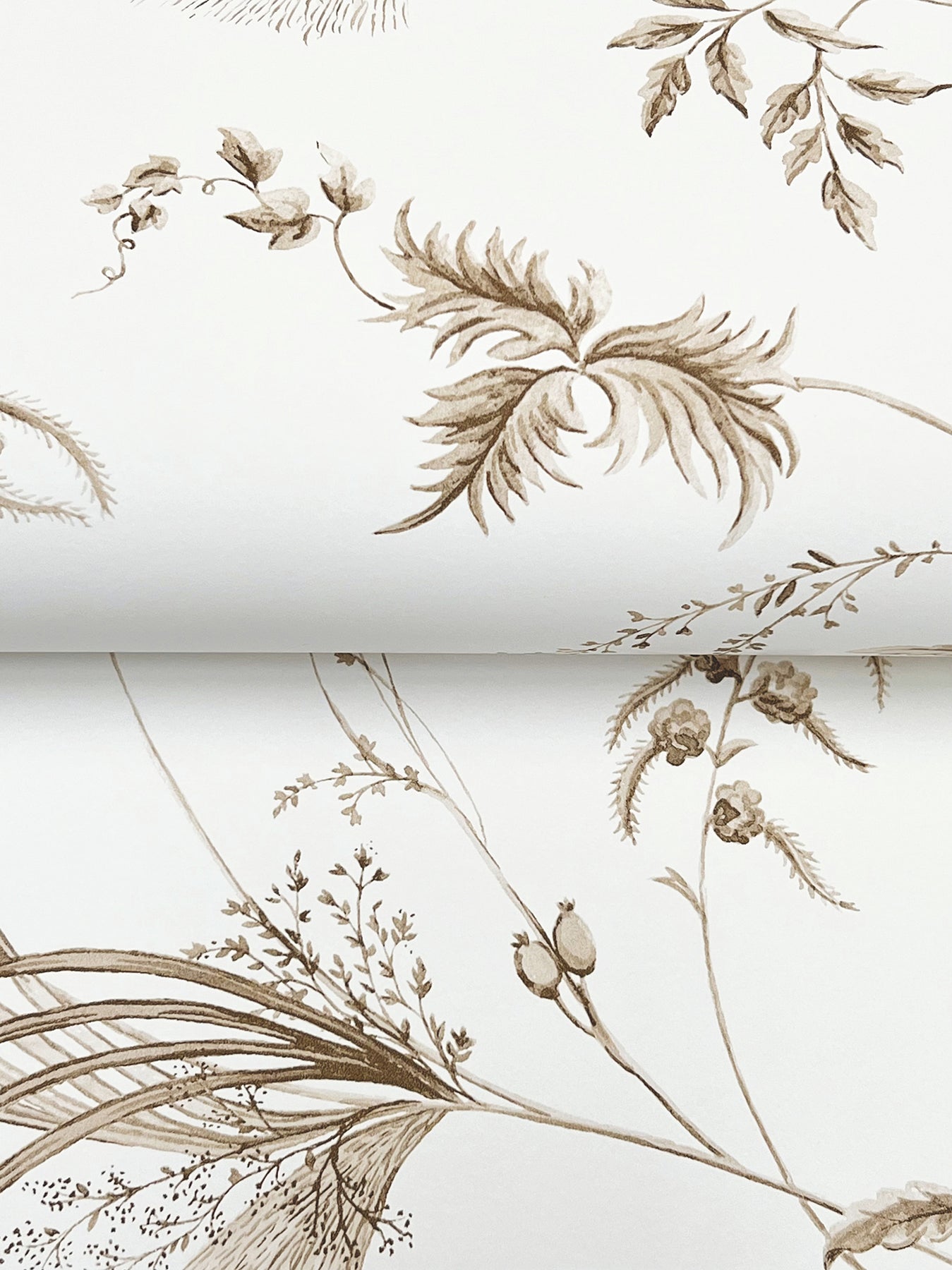 floral-lace-wallpaper-taupe-york-wallcoverings-mx9681