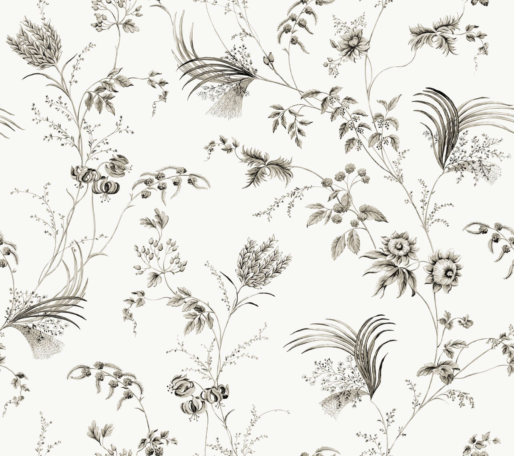 floral-lace-black-wallpaper-york-wallcoverings-mx9682 - York Wallcoverings Wallpaper