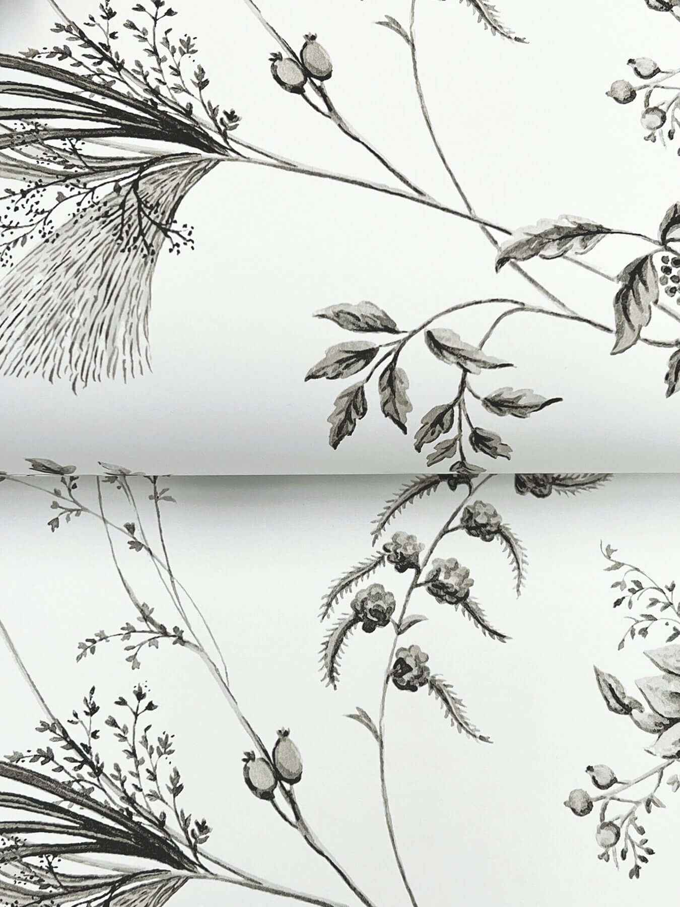 Floral Lace Black Wallpaper - York Wallcoverings - MX9682 - York Wallcoverings Wallpaper