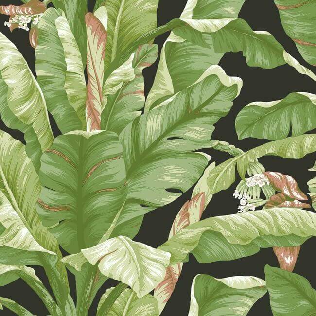banana-leaf-black-green-peel-stick-wallpaper-york-wallcoverings-psw1035rl - York Wallpaper Wallpaper