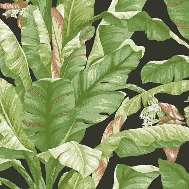 Banana Leaf Black & Green Peel & Stick Wallpaper - York Wallcoverings - PSW1035RL - York Wallcoverings Wallpaper