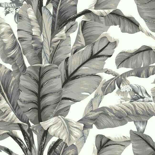 Banana Leaf White & Black Peel & Stick Wallpaper - York Wallcoverings - PSW1037RL - York Wallcoverings Wallpaper