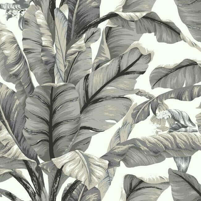 banana-leaf-white-black-peel-stick-wallpaper-york-wallcoverings-psw1037rl - York Wallpaper Wallpaper