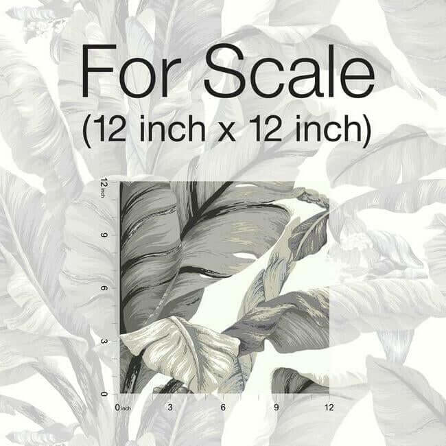 banana-leaf-white-black-peel-stick-wallpaper-york-wallcoverings-psw1037rl - York Wallpaper Wallpaper