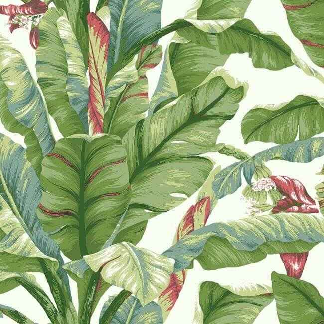 Banana Leaf White & Green Peel & Stick Wallpaper - York Wallcoverings - PSW1034RL - York Wallcoverings Wallpaper