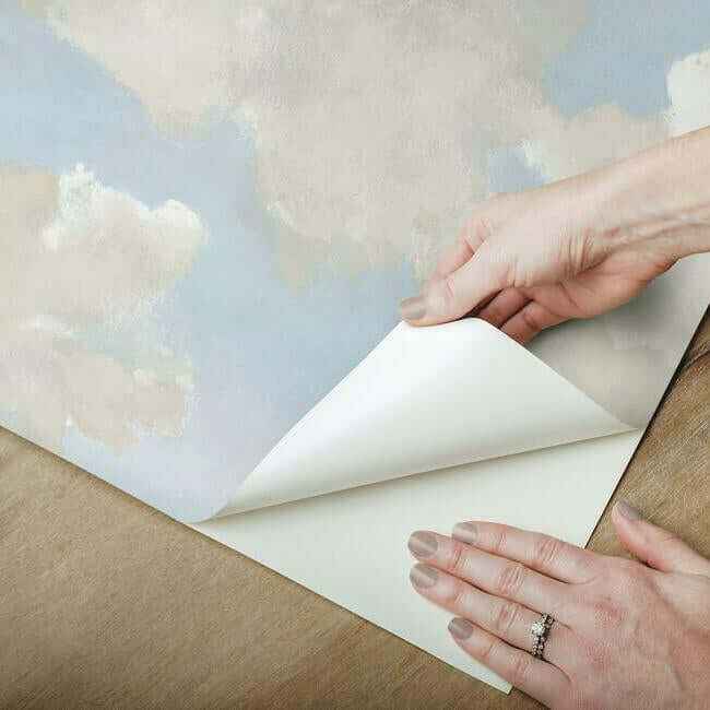 Clouds on Canvas Blue Peel & Stick Wallpaper - York Wallcoverings - PSW1079RL - York Wallcoverings Wallpaper