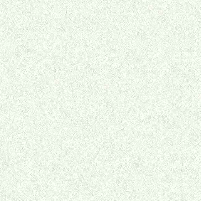 Champagne Dots Linen Metallic Wallpaper - York Wallcoverings - RI5115