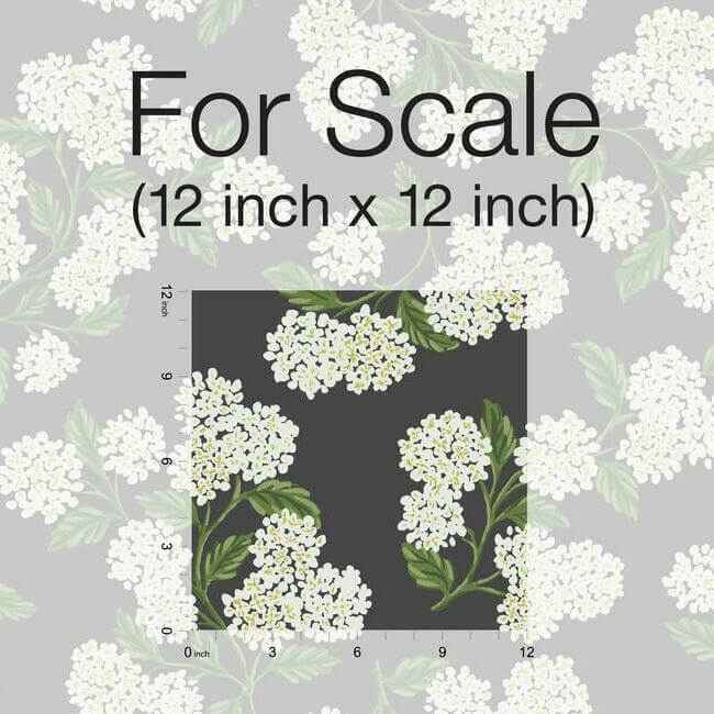 Hydrangea Black & White Wallpaper - York Wallcoverings - RI5146 - York Wallcoverings Wallpaper