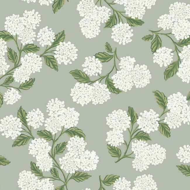 Hydrangea Grey Wallpaper - York Wallcoverings - RI5144 - York Wallcoverings Wallpaper