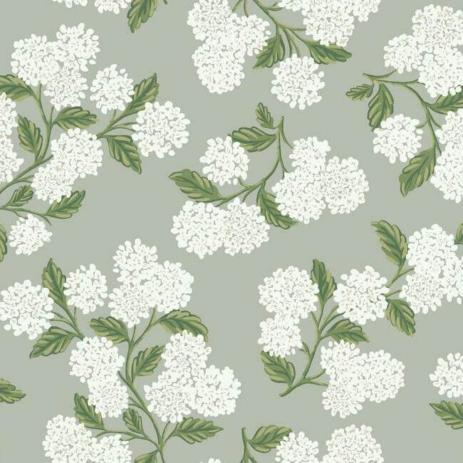 hydrangea-grey-wallpaper-york-wallcoverings-ri5144 - York Wallpaper Wallpaper